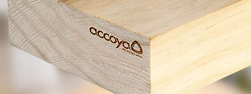 Wat is Accoya?